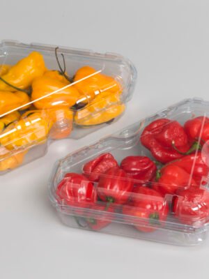 RPET Trikampiai indeliai, 250g / 187 x 121 x 56 mm, 640 vnt.