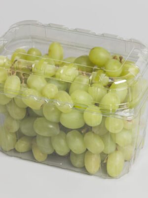 RPET indeliai, 1kg / 185 x 114 x 135 mm, su dangteliais, 440 vnt.
