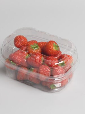 RPET indeliai, 250g / 142 x 94 x 52 mm, be dangtelių, 2604 vnt.