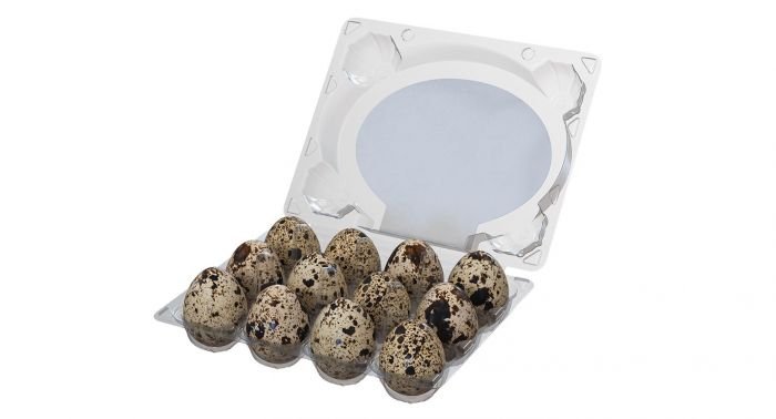 Rumeks NNZ plastikiniai dėklai putpelių kiaušiniams quail egg trays 1