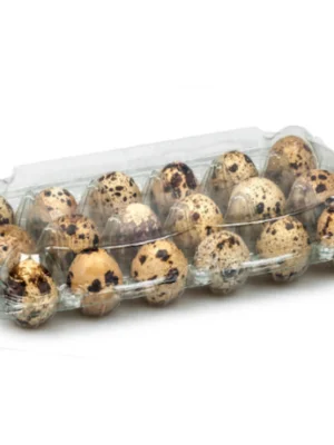 Putpelių kiaušinių dėklai,  24-iems kiaušiniams (12x2), 420 vnt.