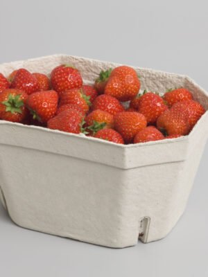 PULP indeliai, 1kg / 200 x 138 x 108 mm, be spaudo, 222 vnt.