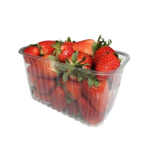 RPET indeliai, 1kg / 187 x 115 x 110 mm, be dangtelių, 1000 vnt.