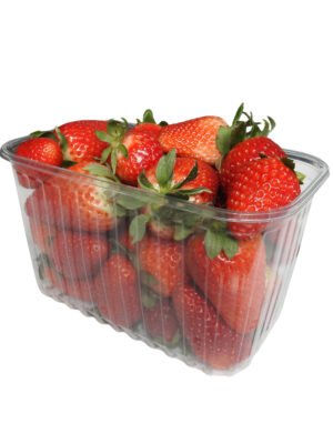 RPET indeliai, 1kg / 187 x 115 x 110 mm, be dangtelių, 1000 vnt.