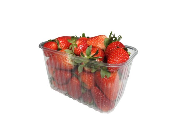 RPET indeliai, 1kg / 187 x 115 x 110 mm, be dangtelių, 1000 vnt.