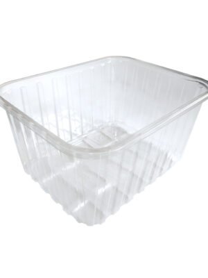 RPET indeliai grybams, 500 g / 184 x 143 x 93 mm, permatomi, 900 vnt.