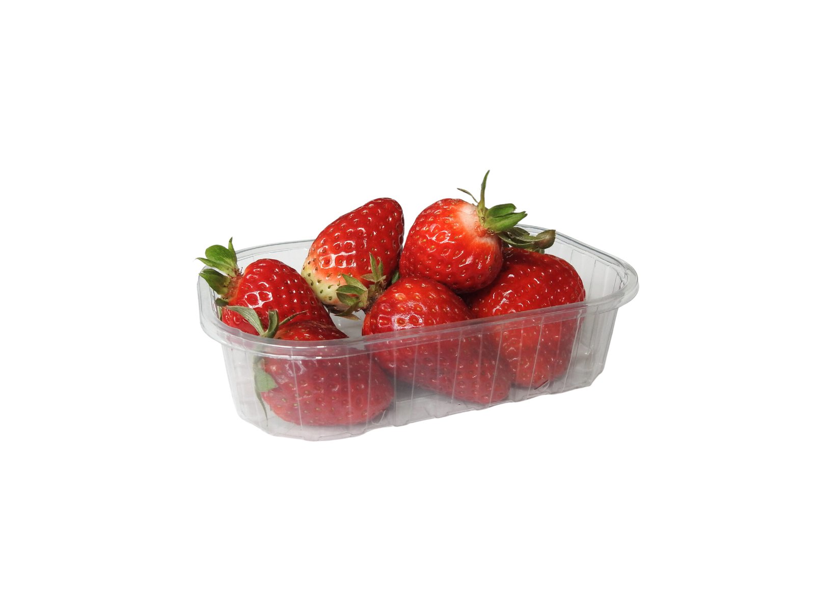 RPET indeliai, 125g / 142 x 94 x 35 mm, be dangtelių, 2604 vnt.