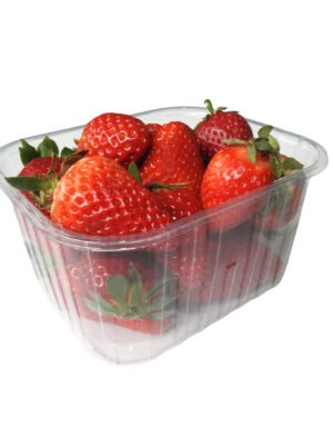 RPET indeliai, 500g / 145 x 121 x 75 mm, be dangtelių, 1050 vnt.