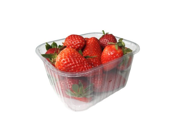 RPET indeliai, 500g / 145 x 121 x 75 mm, be dangtelių, 1050 vnt.