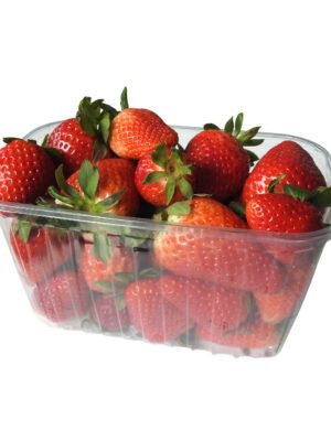 RPET indeliai, 750g / 187 x 115 x 75 mm, tankesnis plastikas, 1304 vnt.