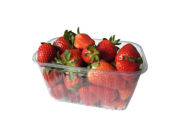 RPET indeliai, 750g / 187 x 115 x 75 mm, tankesnis plastikas, 1304 vnt.