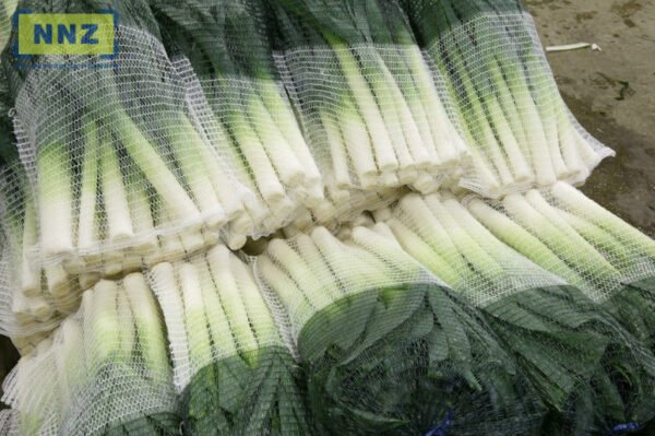 Žaliai balti tinkliniai maišai porams pakuoti, 33 x 65 cm/10 kg, 100 vnt.